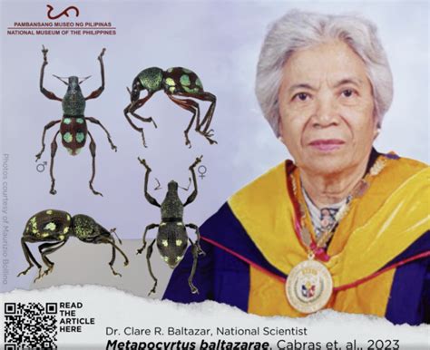 types of beetles in the philippines|Studies on new beetle species in PH published decades after discovery.